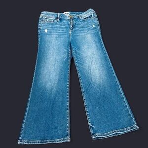 Lane Bryant Classic Blue Boot Cut Jeans